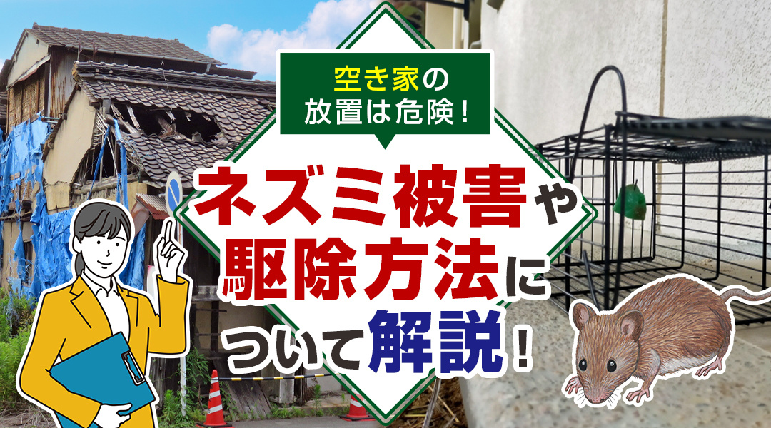 空き家の放置は危険！ネズミ被害や駆除方法について解説！の画像