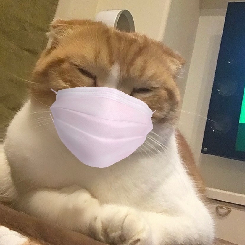 じわっとおもしろ猫集の画像