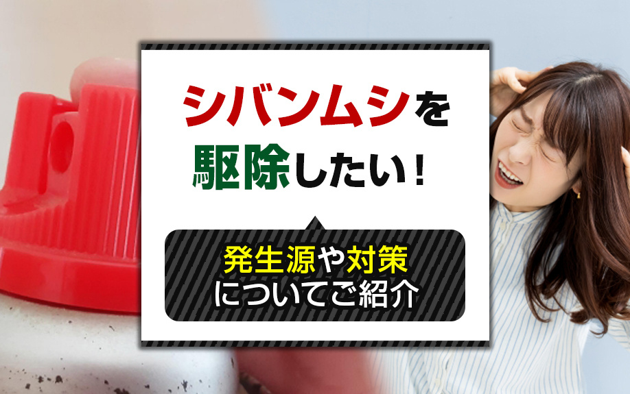 シバンムシを駆除したい！発生源や対策についてご紹介の画像