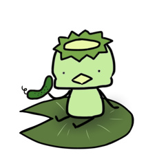 キュウリじゃなくて、よかった！！の画像