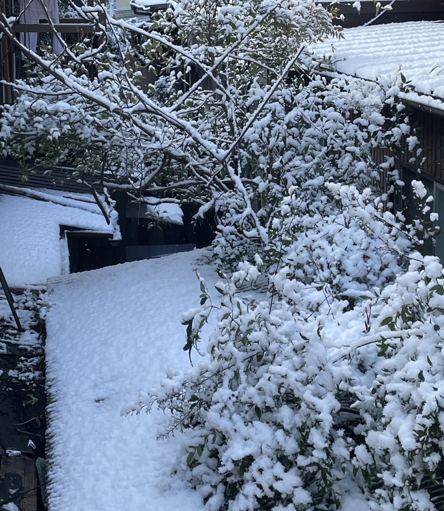 春分の日の画像