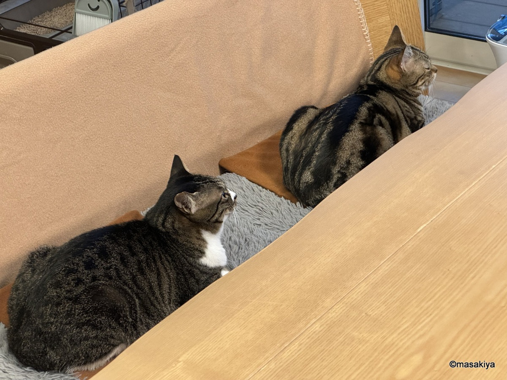 ストレス解消の画像