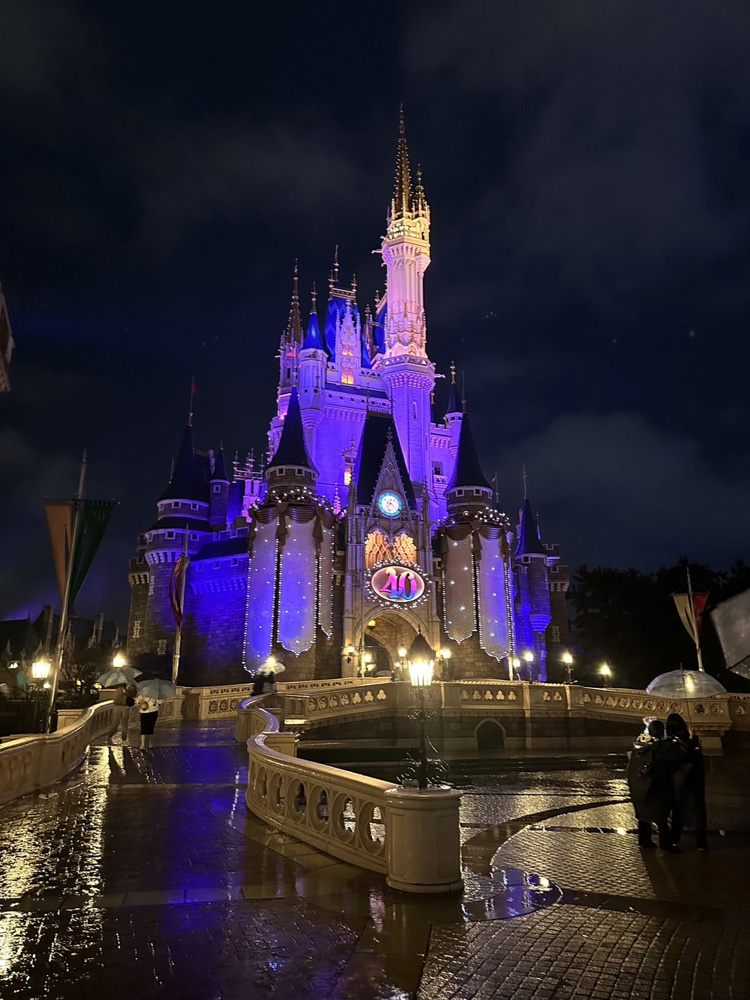 5年ぶりにディズニーへ行きました！の画像