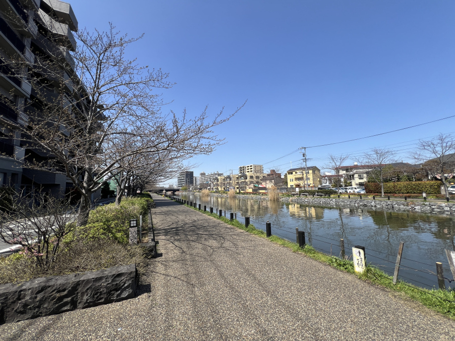 待ち遠しい♪の画像