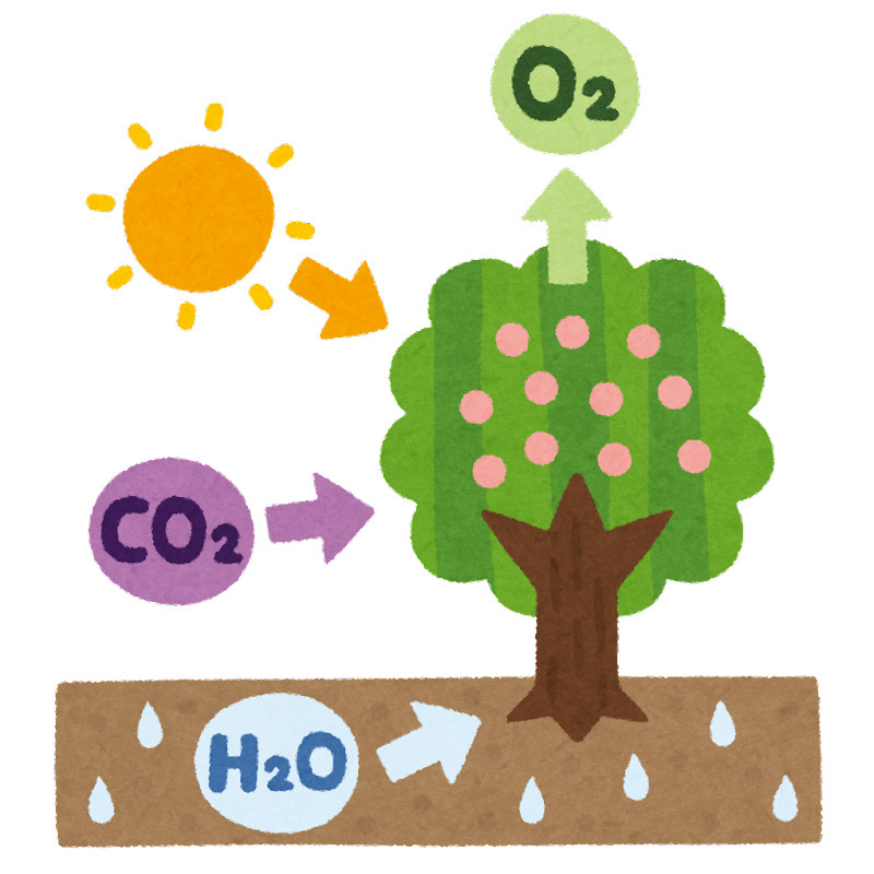 CO2削減の日の画像