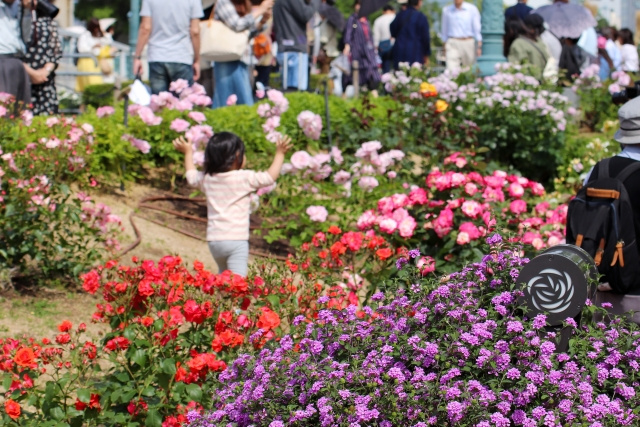 大阪市浪速区にある桜川駅周辺の住みやすさ①駅の概要