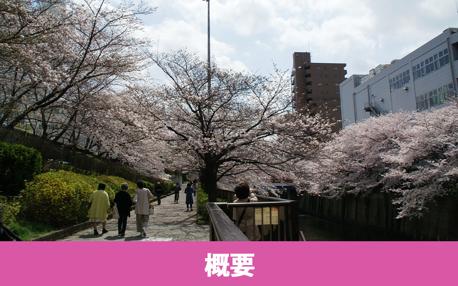 不動産売却で知っておきたい中目黒駅の概要