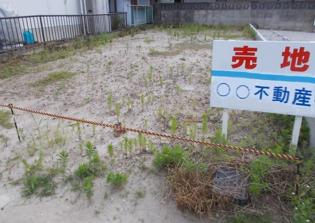 土地の売却を成功させるにはどうすれば？高く売る方法や注意点もご紹介の画像