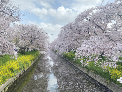 ロフトの使い方～名古屋Mｙ賃貸～の画像