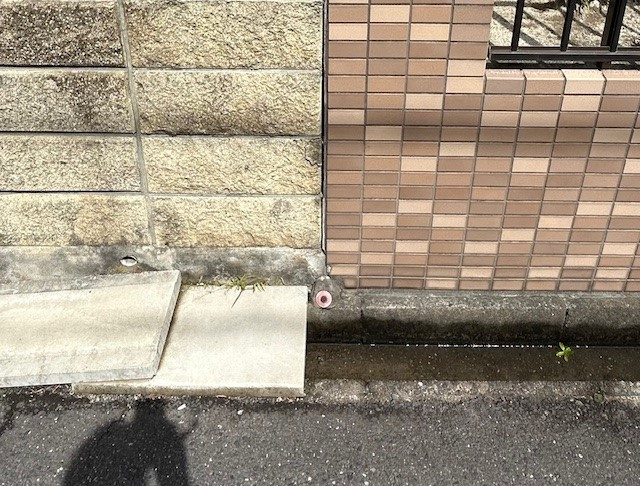 【愛西市不動産売却】境界調査の画像