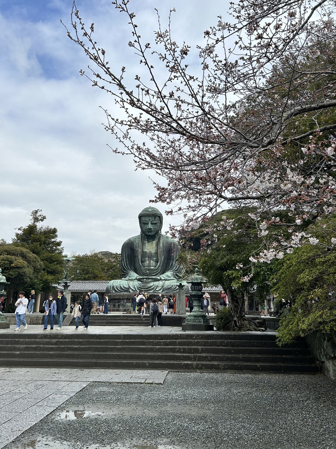 花より・・・の画像