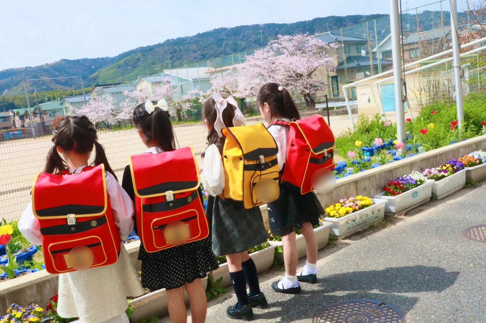 やっと満開！！！の画像