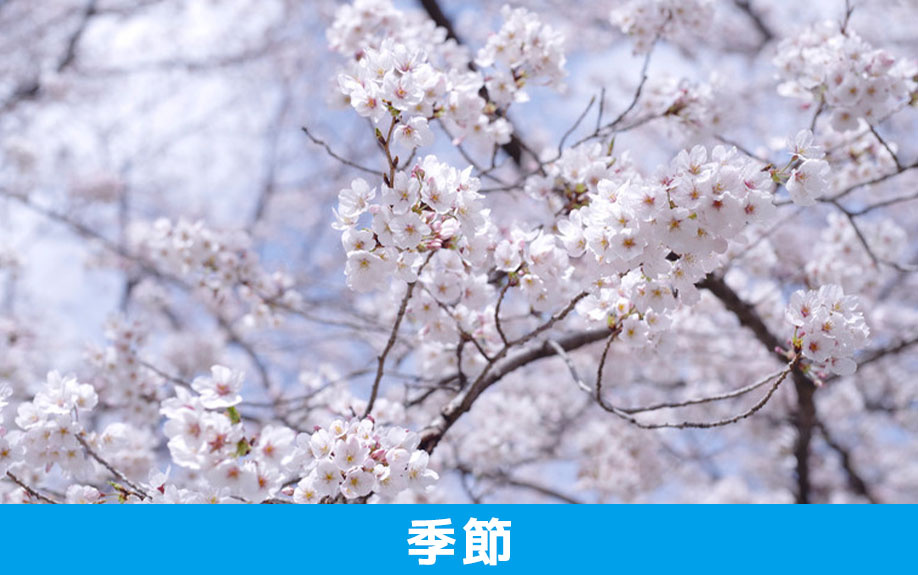 「季節」で見る不動産売却のタイミングとは？