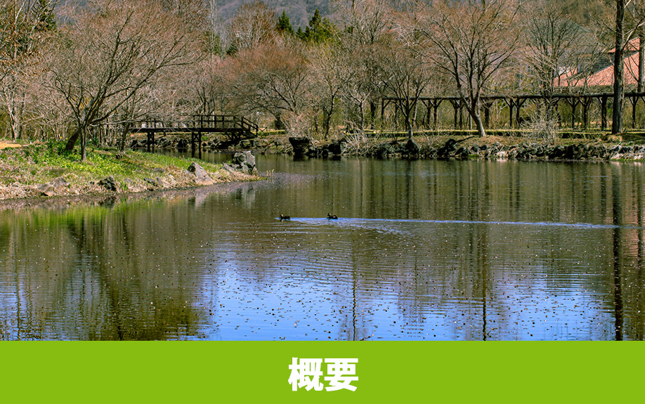 軽井沢にある「軽井沢レイクガーデン」の概要とアクセス方法