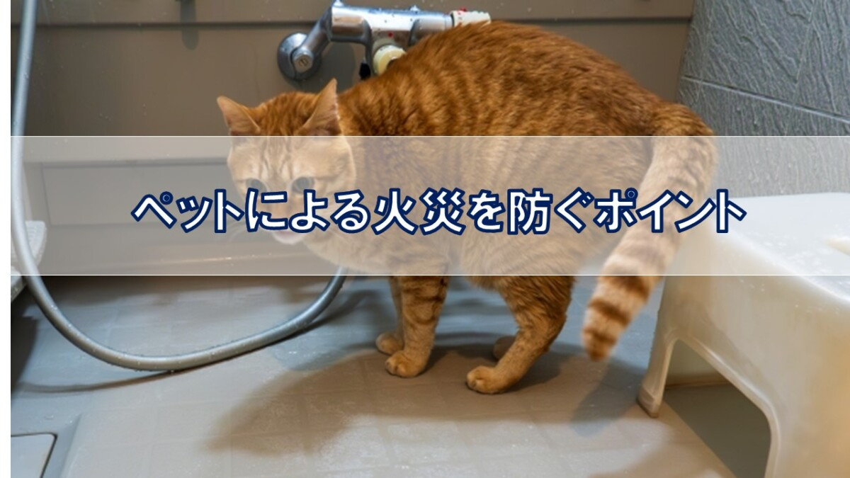 ペットによる火災を防ぐポイント【高崎不動産情報ライブラリー】の画像
