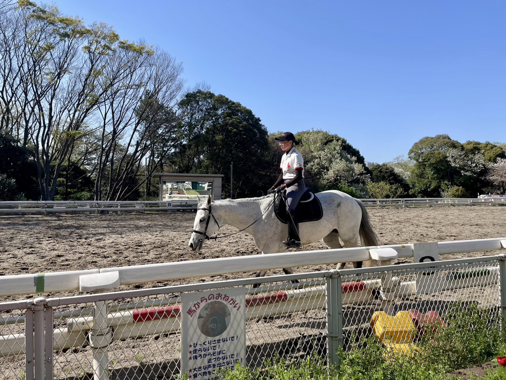 花見日和の画像