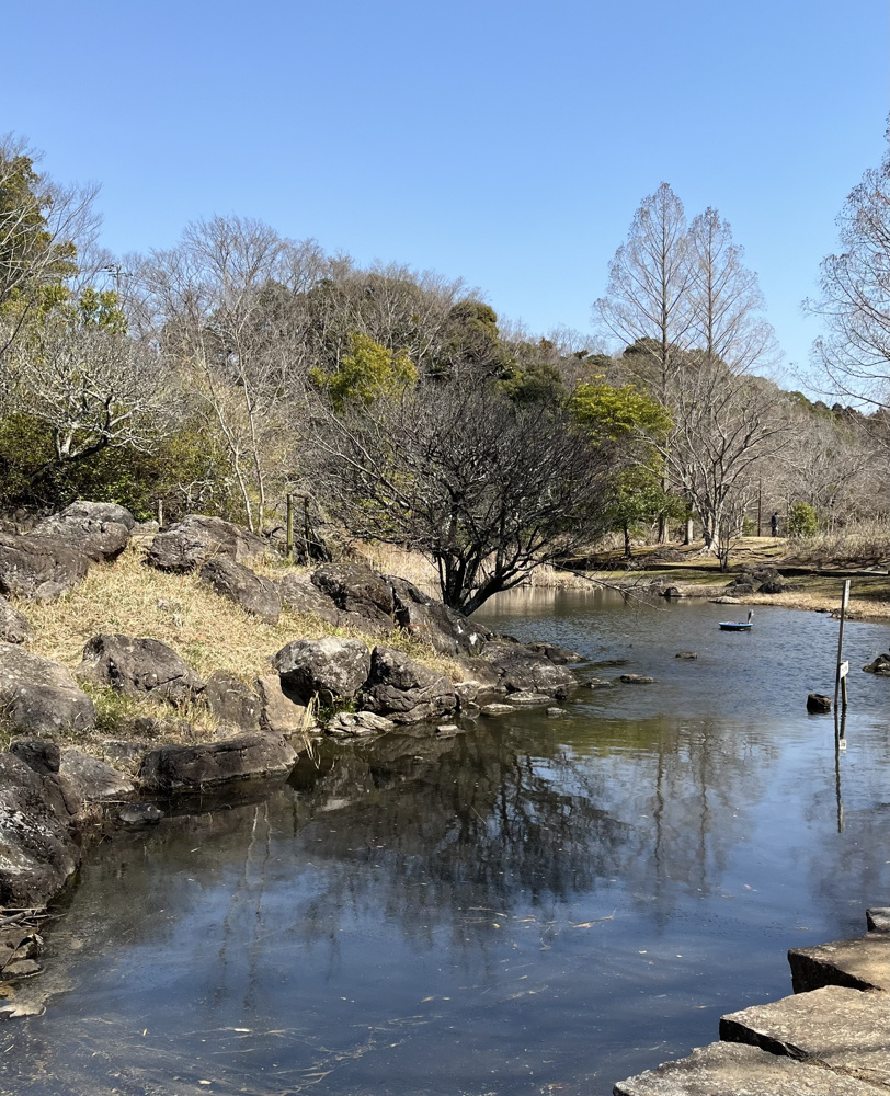 自然あふれる泉谷公園♪の画像