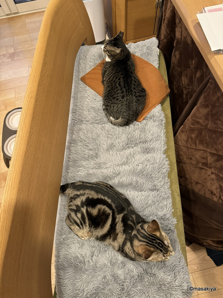 外国のアノ家具屋さんの画像