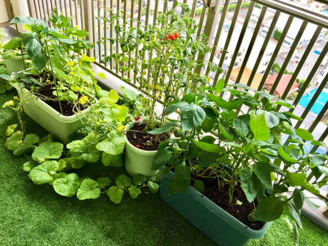 賃貸物件のベランダの活用方法とは？注意点についても解説！