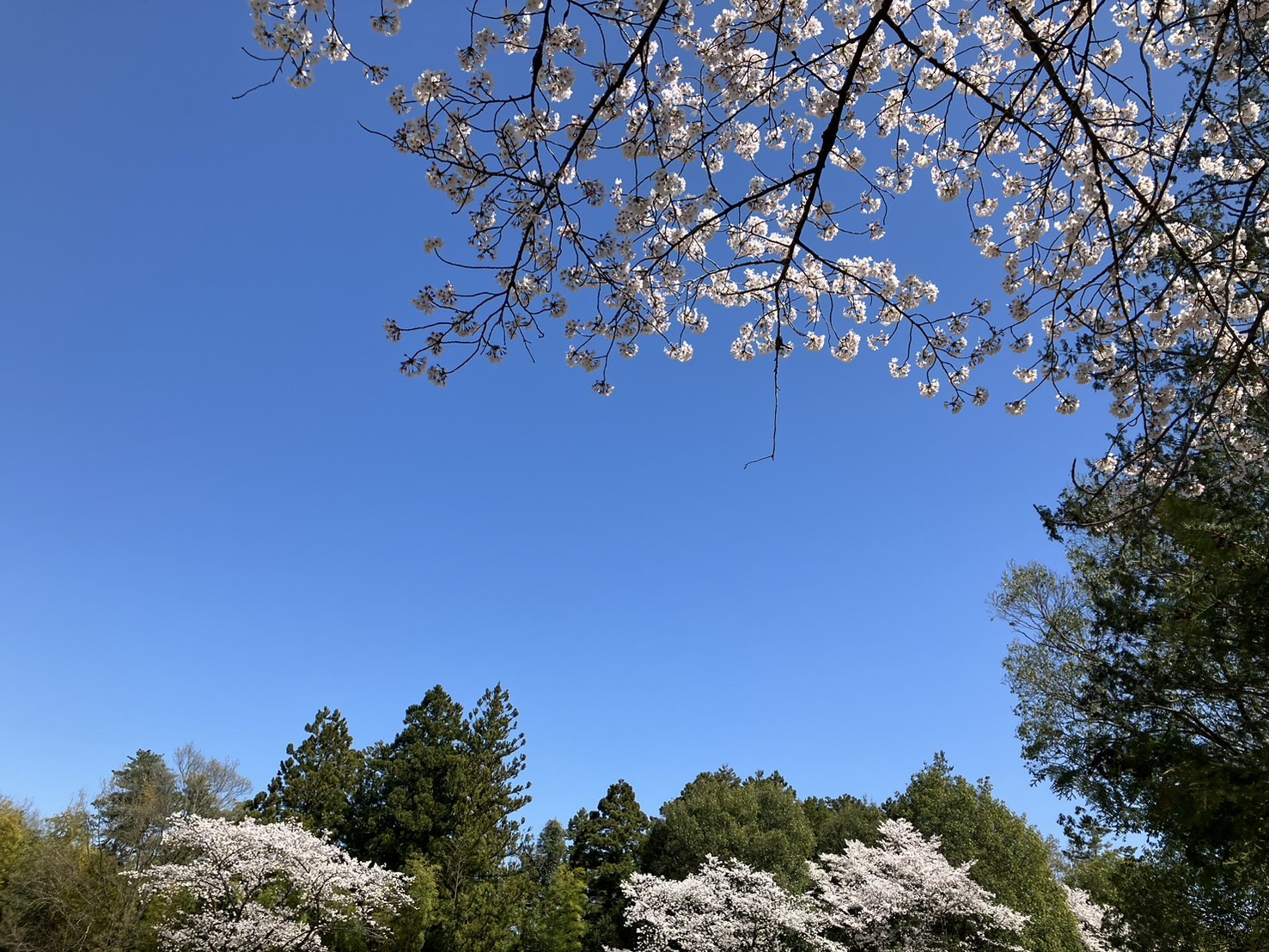 楽しく仕事は出来るのか?の画像