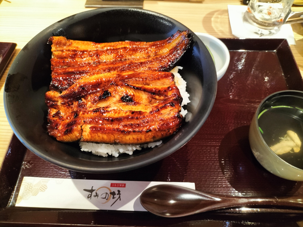 いざ三島へ（2024.4.13）の画像