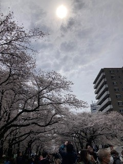 何年ぶりでしょうか・・・の画像