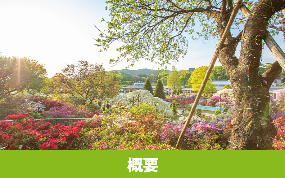 足利市にあるあしかがフラワーパークの概要