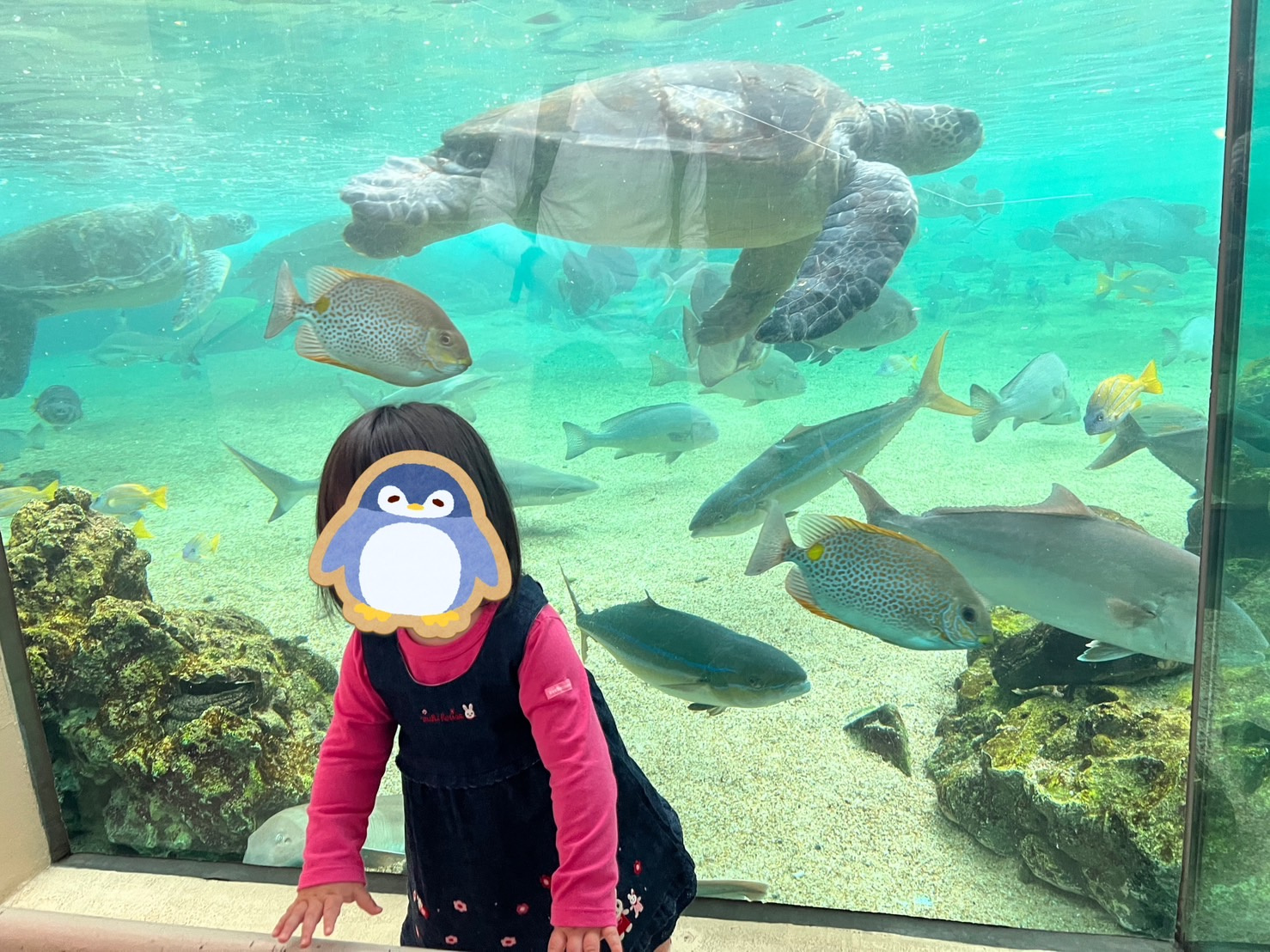 八景島シーパラダイス♪の画像