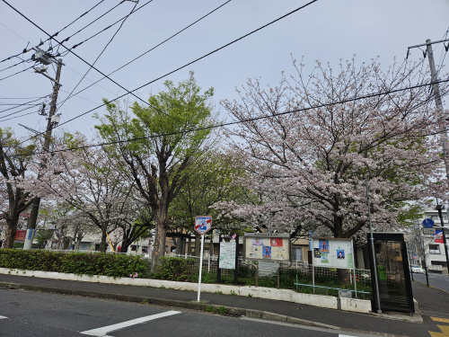 近所の公園の画像