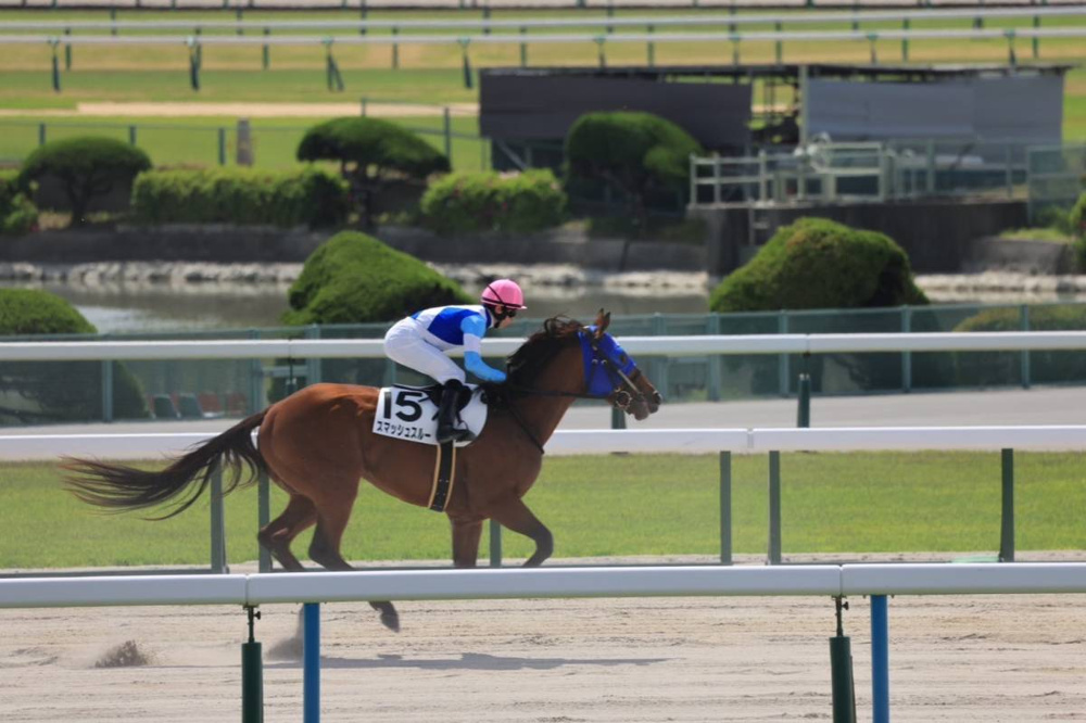 京都競馬場の画像