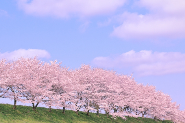 八王子　不動産　売却