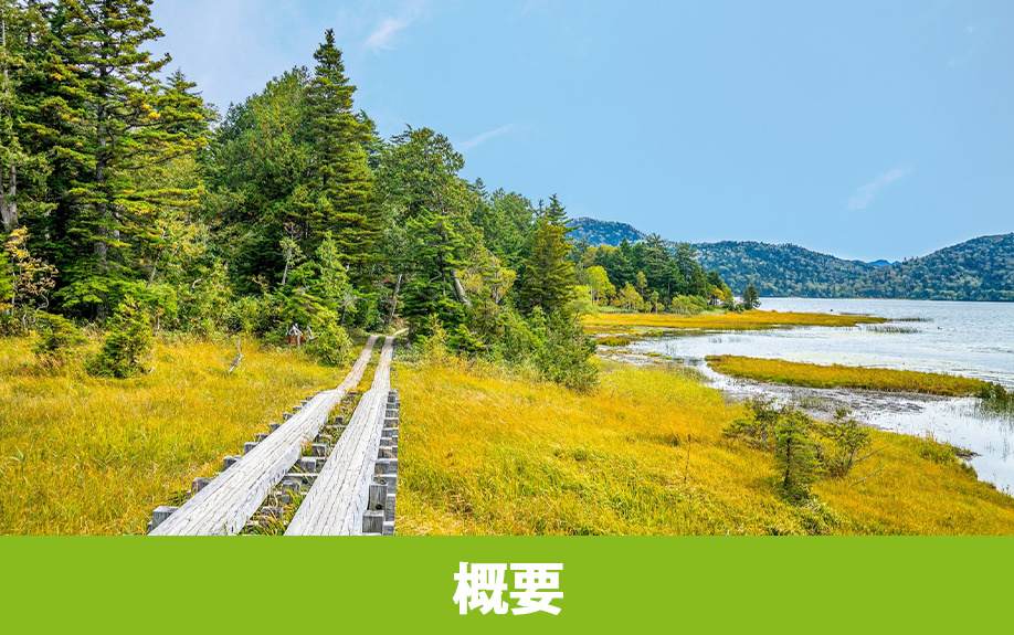 群馬でハイキングが楽しめる公園！「尾瀬国立公園」の概要