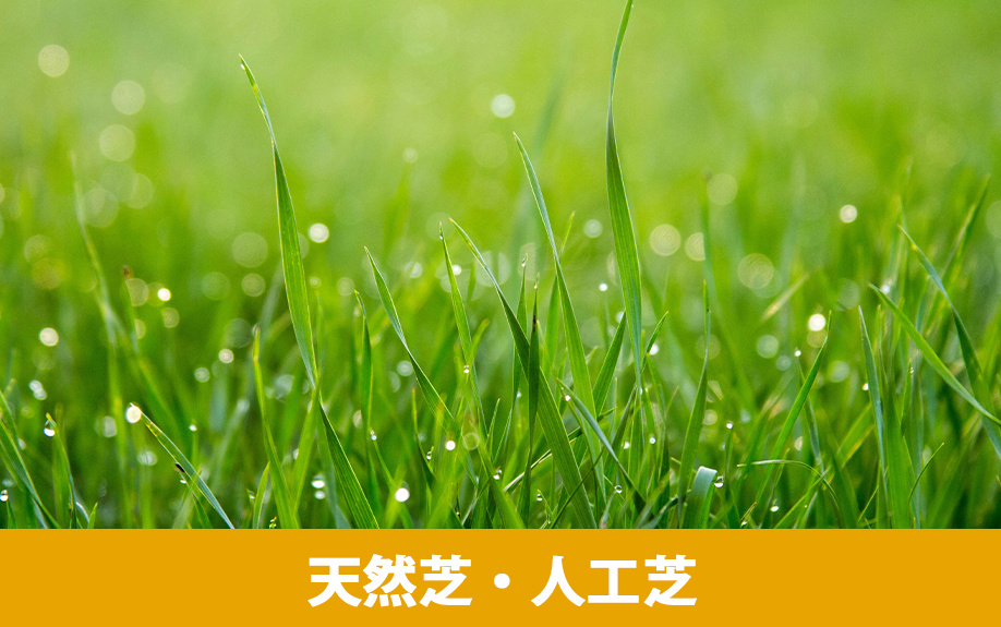 庭の地面の素材を「天然芝・人工芝」にするメリット・デメリット