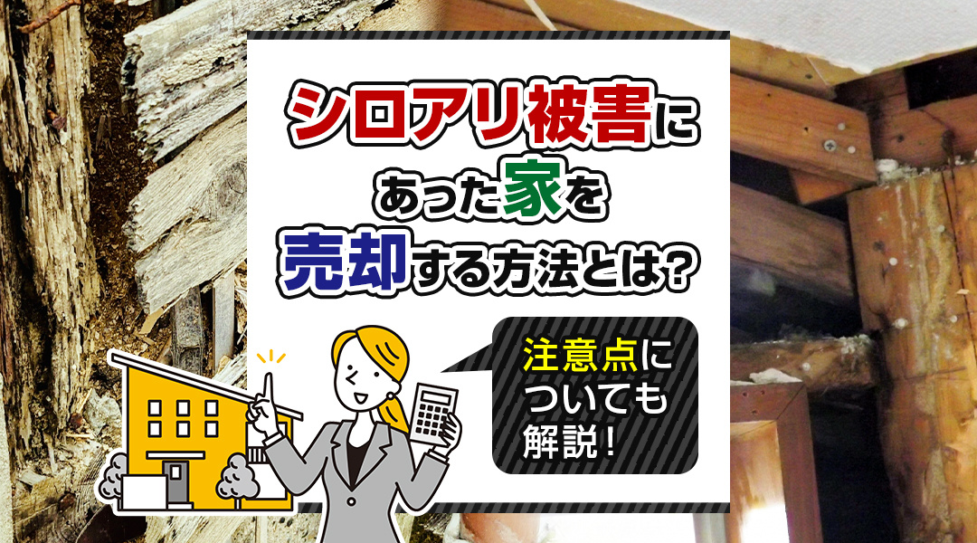 シロアリ被害にあった家を売却する方法とは？注意点についても解説！の画像