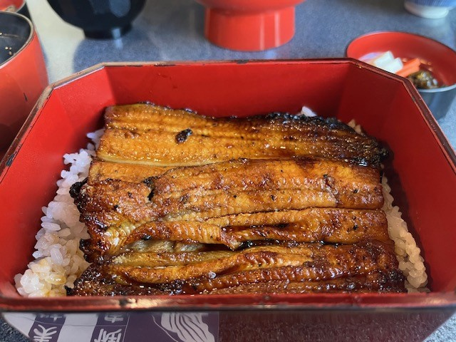 国産うな重をいただきました♪の画像