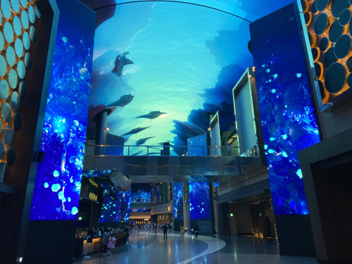 韓国旅行に行ってきましたの画像