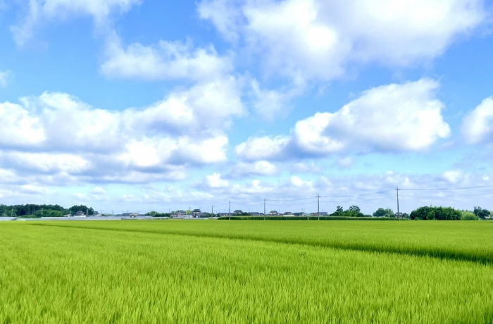 【PC】トップページ_その不動産、当社で買取ります！の画像