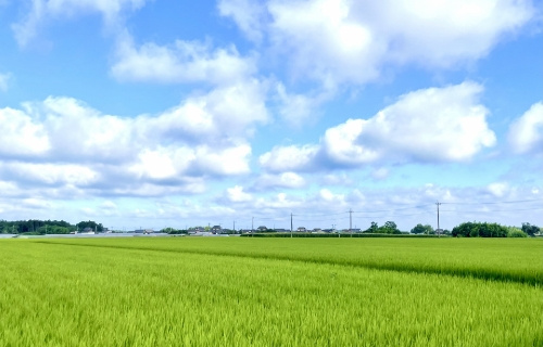 【スマホ】トップページ__その不動産、当社で買取ります！の画像