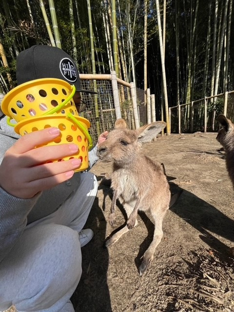 千葉旅行の画像