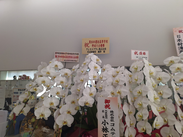 健大高崎全国制覇おめでとう！の画像