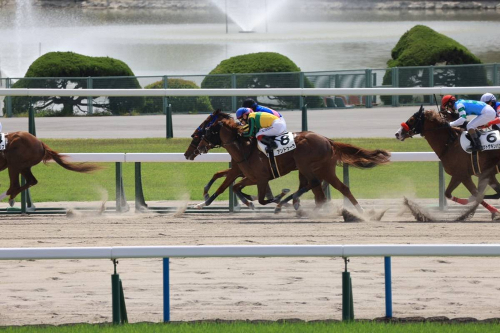 京都競馬場パート2の画像