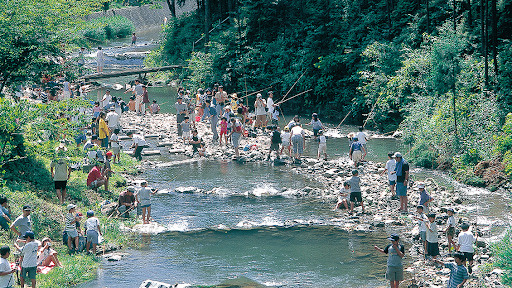 【日の出町にあるさかな園とは？知っておきたい施設の概要と魅力をご紹介！】の画像
