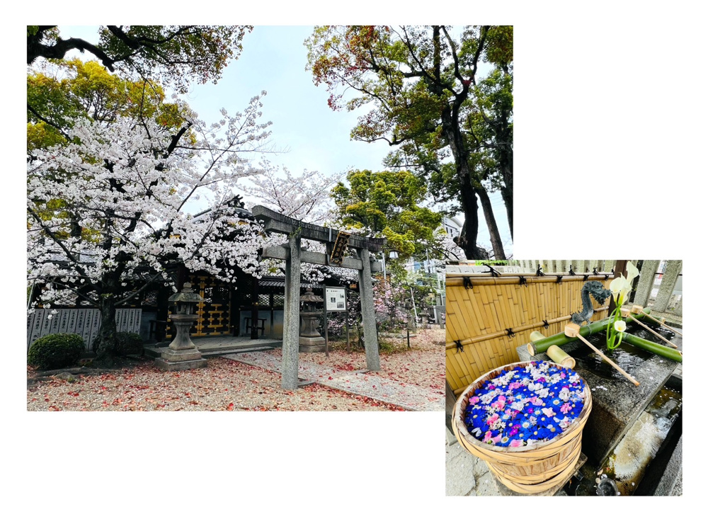 ☆3月のふらっと旅☆の画像