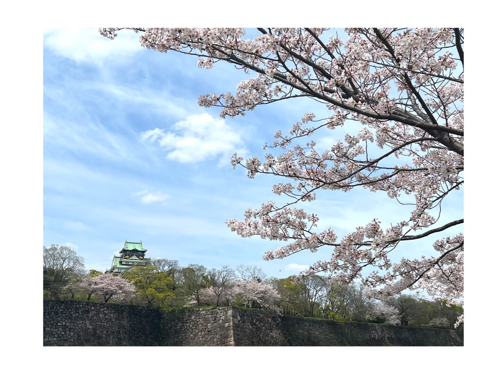 ★★大阪城公園にてお花見＆BBQ★★の画像
