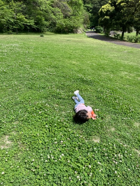 気持ちいい季節の画像