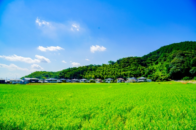 生産緑地とは？指定を解除して売却する方法や解除時の注意点を解説！