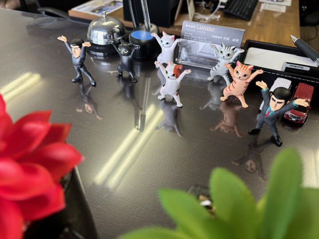 コレクションの画像