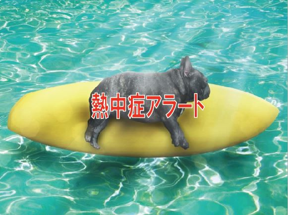 熱中症警戒アラート【高崎不動産情報ライブラリー】の画像