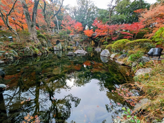 「紅葉渓庭園」の見どころについて