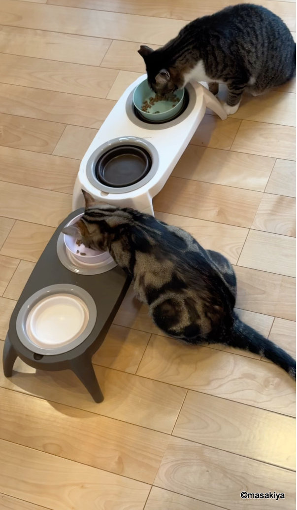 ☆祝☆4才☆の画像